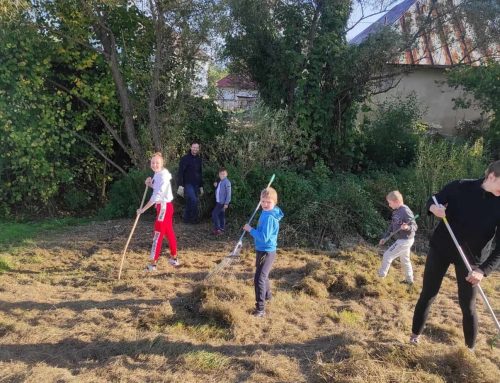 Interný grant – Sprav svoj domov krajším a lepším